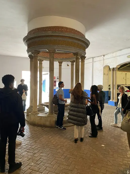 Interior Students in Málaga